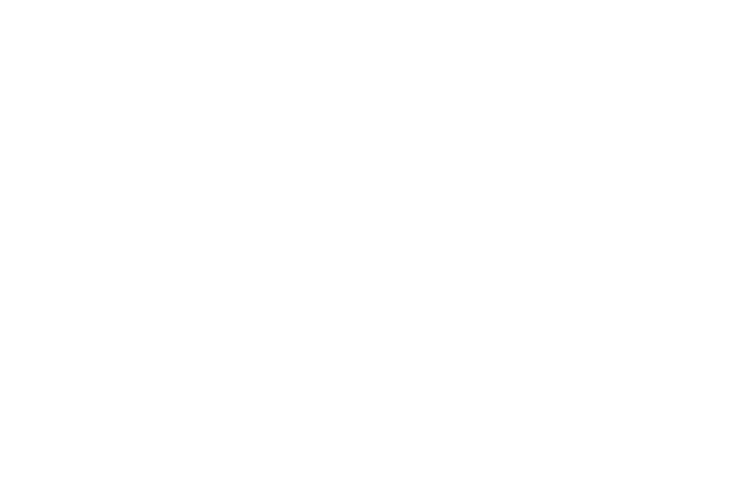 smartflow logo white