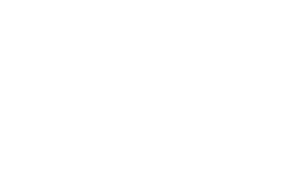 MineView AI logo white