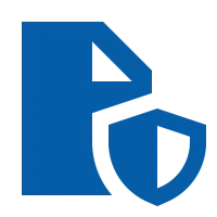 Data Security Icon